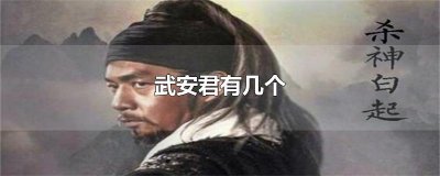 ​武安君有几个