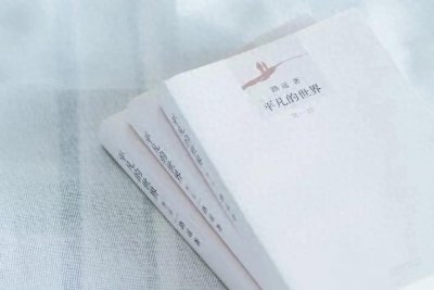 ​穿越人海，春运之旅——《平凡的世界》引领心灵归途