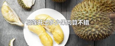​榴莲开出多少果肉算不错