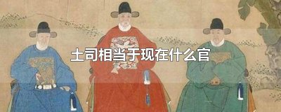 ​土司相当于现在什么官