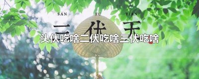 ​头伏吃啥二伏吃啥三伏吃啥