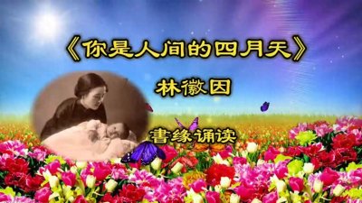 ​《你是人间四月天》林徽因