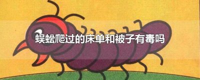 ​蜈蚣爬过的床单和被子有毒吗