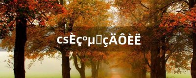 ​cs如何加电脑人（cs怎么添加电脑玩家)