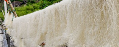 ​细粉用冷水泡还是热水泡