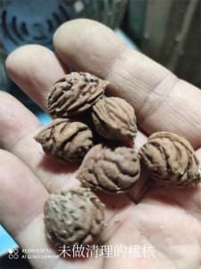 ​如何让你手中的桃核干净