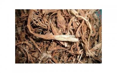 ​海外媒体发稿（海外媒体发稿多少钱）