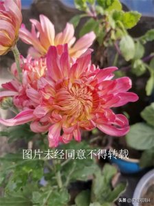 ​《易经》之谦卦卦辞