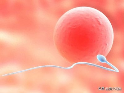 ​大龄未婚女子没了生育力后，怎么着才能有自己的孩子，当她想要时