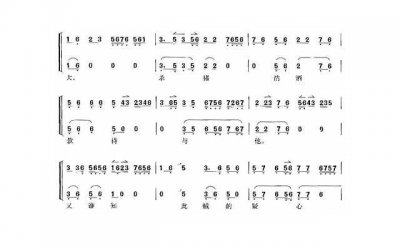 ​解析麦五多白：功效与作用一网打尽