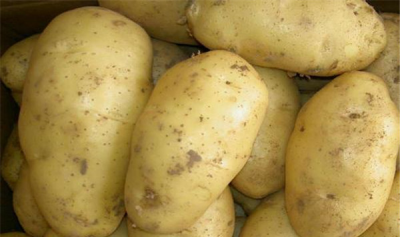 ​婴儿辅食土豆红薯能所有吃吗 易激励胀气/消食没有良