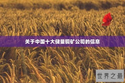 ​关于中国十大储量铜矿公司的信息