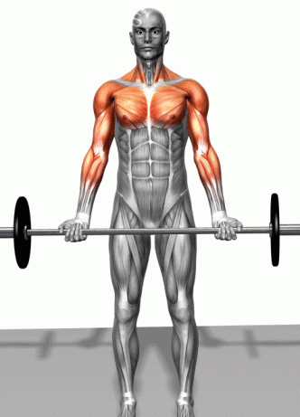 碳水化合物食物一览表,挨饿荒野中的碳水化合物食物有哪些?图6