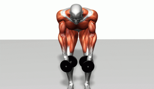 碳水化合物食物一览表,挨饿荒野中的碳水化合物食物有哪些?图8