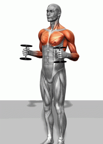 碳水化合物食物一览表,挨饿荒野中的碳水化合物食物有哪些?图9