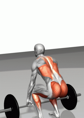 碳水化合物食物一览表,挨饿荒野中的碳水化合物食物有哪些?图7