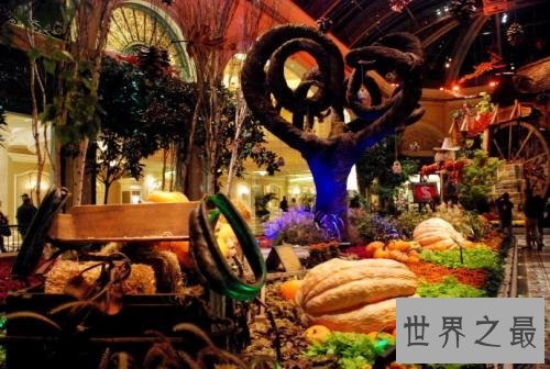 全球十大自助餐厅,吃货不能错过的美食天堂