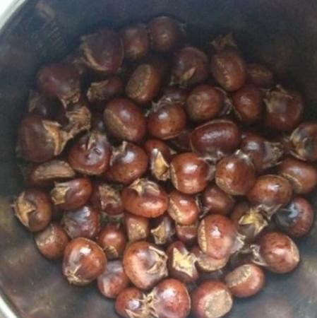 板栗怎么去皮和壳