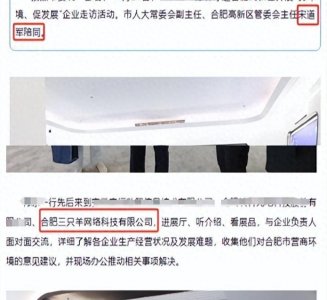 ​明智之举，三只羊法务李律年初官宣离职也许早有端倪！玩太疯了