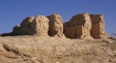 ​最贵的蝴蝶售价4万美元，最美最大的蝴蝶又是何种？