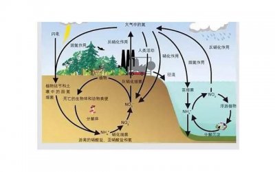 ​“真爱”的表现 你们是真爱吗