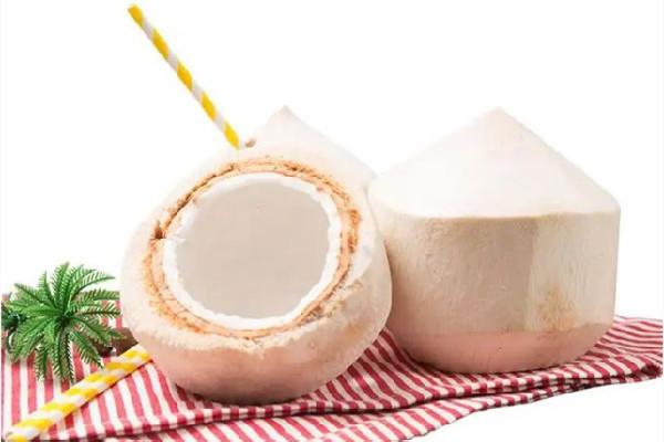 椰青加热后还有营养吗 椰青汁是透明的吗 椰青加热后还有营养吗 椰青汁是透明的吗