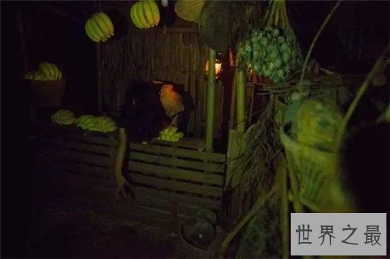 女鬼病毒利用人们恐惧心理,影响精神状态甚至吓死人