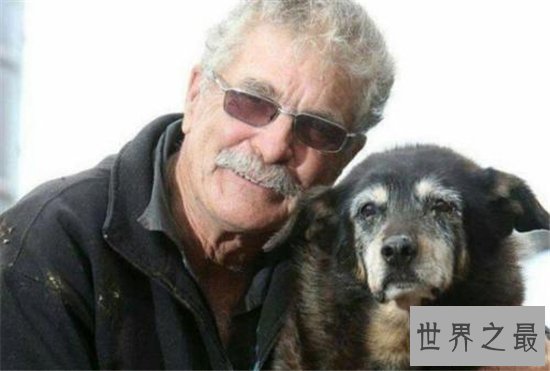寿命最长的狗,他的寿命相当于人类的203岁!