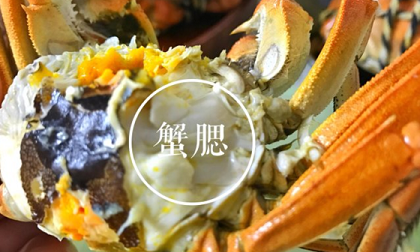 怎么判断梭子蟹能不能吃,梭子蟹哪个部位不能吃图解图11