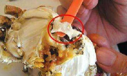 怎么判断梭子蟹能不能吃,梭子蟹哪个部位不能吃图解图9