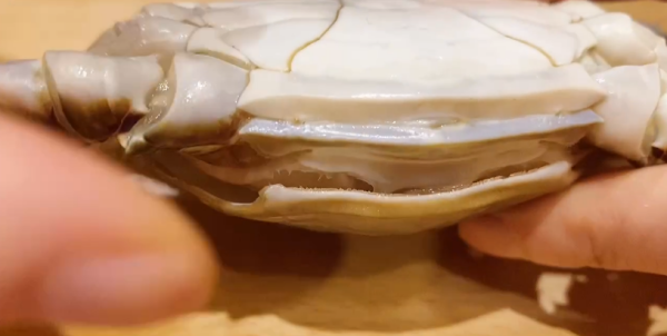 怎么判断梭子蟹能不能吃,梭子蟹哪个部位不能吃图解图7