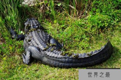 ​世界野生动物园排名 第一名为世界遗产，你去过吗