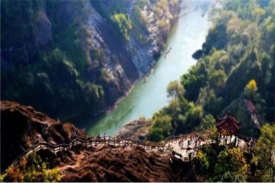 ​中国最珍稀的植物, 有武警24小时守护, 曾一根分枝都能卖20多万