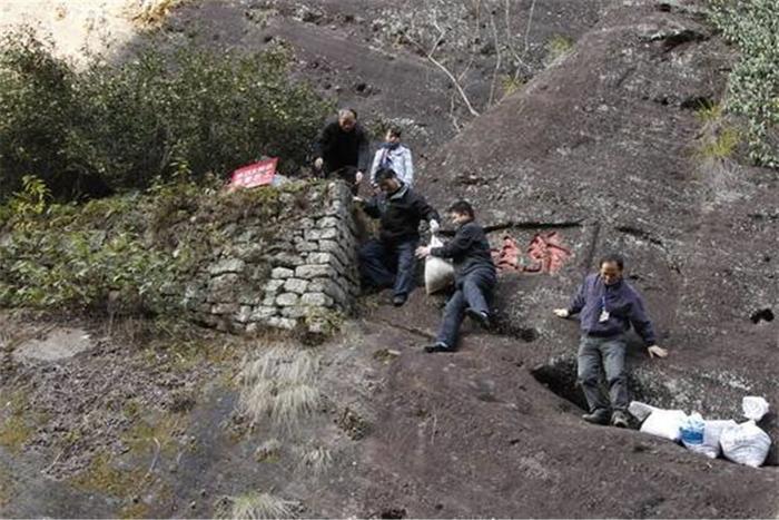 中国最珍稀的植物, 有武警24小时守护, 曾一根分枝都能卖20多万