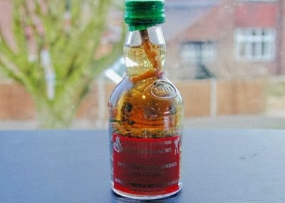 ​为什么有的毒蛇泡酒好几年，依旧会咬人？蛇究竟有多厉害？