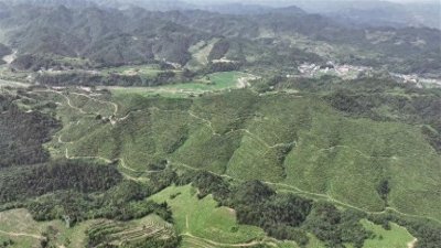 ​保靖县凤巢山下探新路——从“各美其美”到“美美与共”