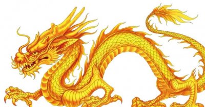 ​2007年，江苏高邮湖中出现水龙卷，内藏有黑影是不是龙形生物？