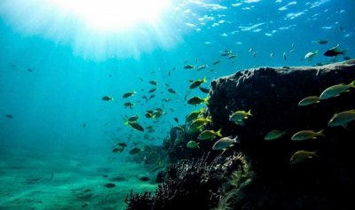 实心铁球能重到海底吗?小于1毫米的铁粉也能重_密度大