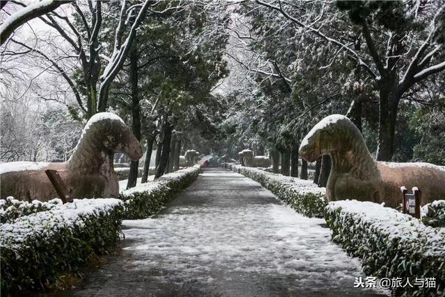 南京：下雪啦，盘点南京最美拍雪圣地