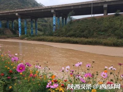 ​延河新貌丨水清岸绿 重现“滚滚延河水”