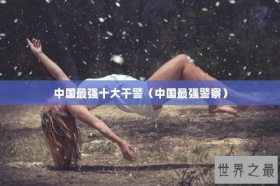 ​中国最强十大干警（中国最强警察）
