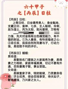 丙辰辛卯戊辰乙卯八字命理 丙辰日柱男命