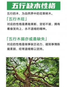 命理木命是缺木吗 五行缺木可以找木命的配偶吗