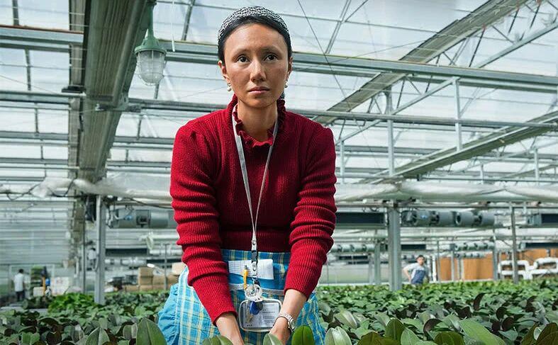 三度暴雷，压了10年，这国产片终于上了