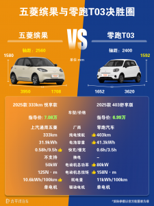  五菱缤果和零跑T03哪个好？代步小车怎么选更合适