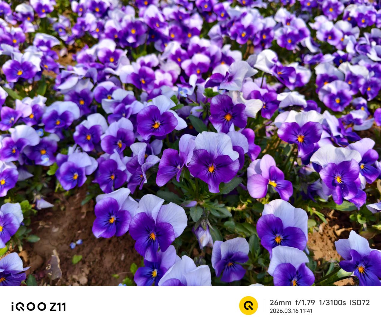 iQOO Z11评测:性能续航小超人再进化