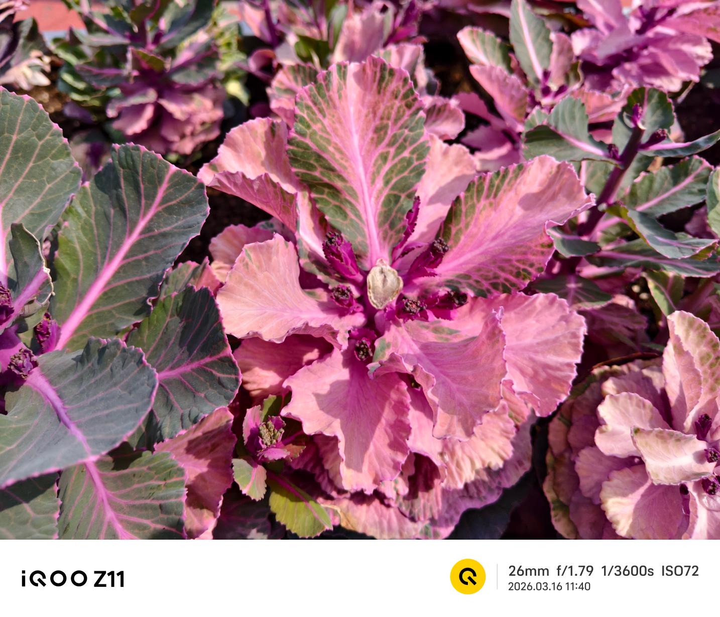 iQOO Z11评测:性能续航小超人再进化