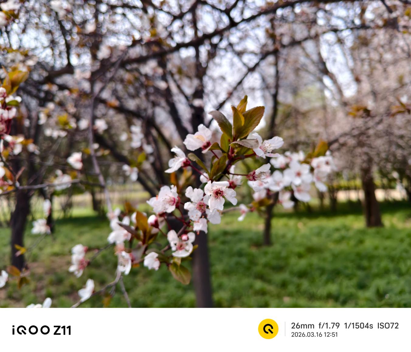 iQOO Z11评测:性能续航小超人再进化