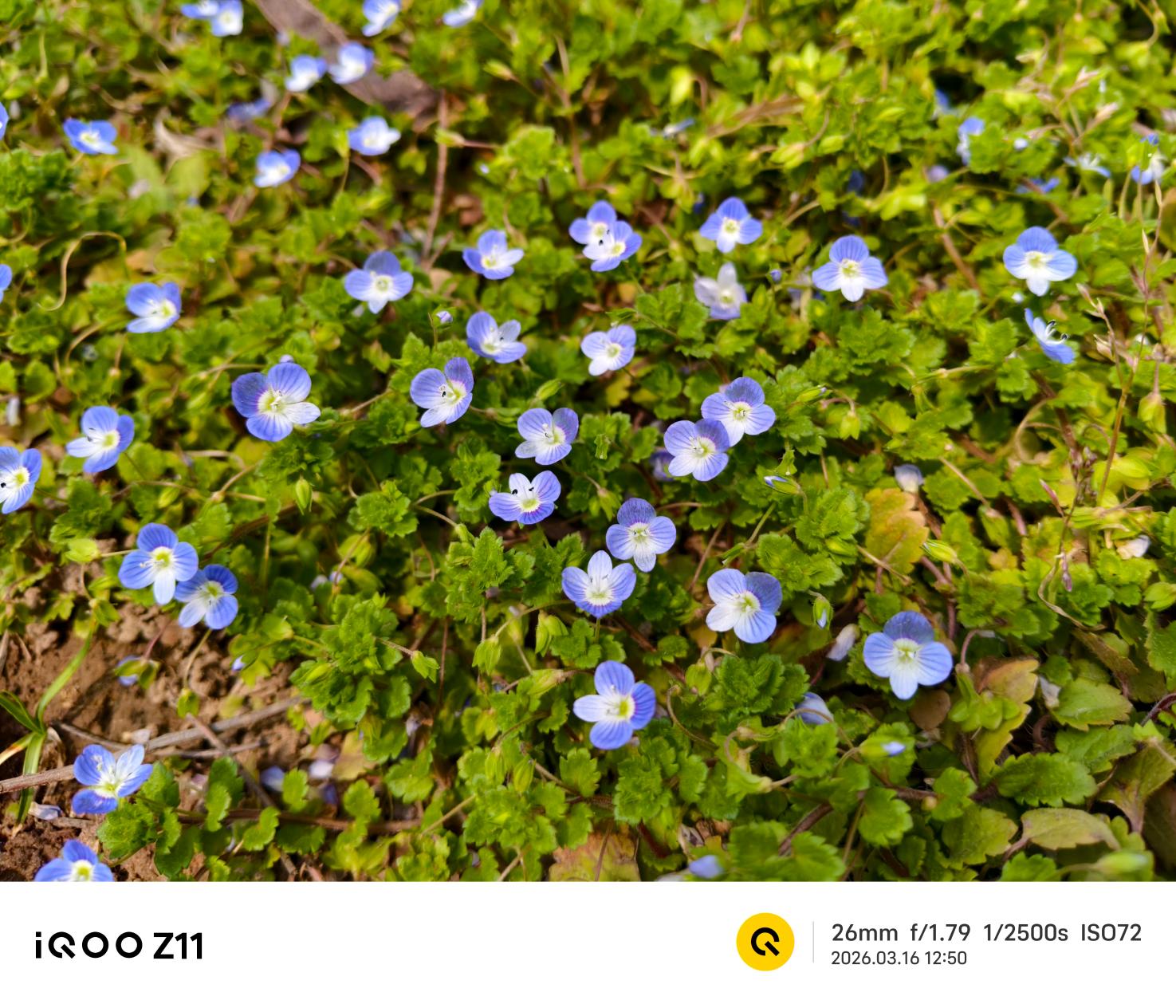 iQOO Z11评测:性能续航小超人再进化