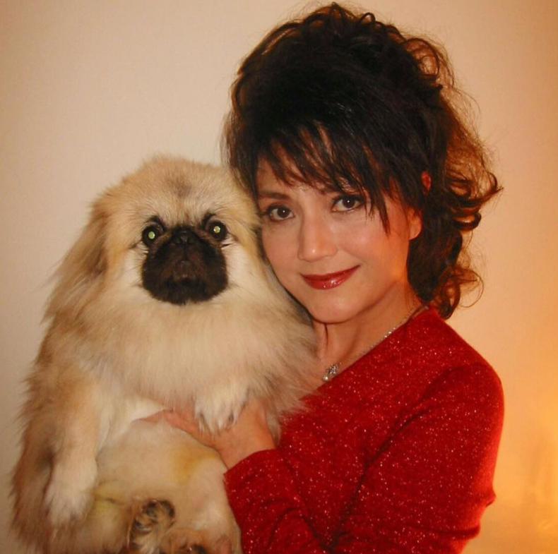 知名港星施明去世，生前曾开颅3次抢救，儿子证实死讯公开其离世细节